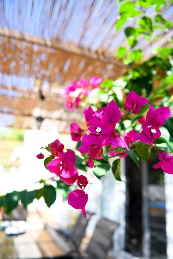 Serenity Luxury Villa, Skiathos 圣帕拉斯凯维 外观 照片
